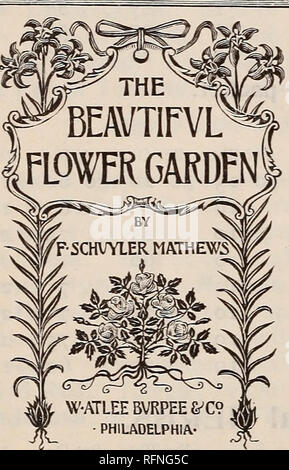 . Burpee i prezzi per 1897 : i migliori semi che crescere. Vivaio di Filadelfia in Pennsylvania cataloghi; fiori cataloghi; Verdure cataloghi; piselli dolci cataloghi; semi cataloghi. Nelle pagine seguenti, inizio con piselli dolci, offriamo, disposti in ordine alfabetico, il che portano fiori cresciute da seme, compresi molti nuovi e fiori speciale di nnnsnal bellezza. Questi semi sono tutti dei migliori ceppi, e sono sicuro che per dare piena soddisfazione. Mentre molti sono cresciuti da noi stessi a Fordhook Farm o dai nostri coltivatori in America, sono tutte accuratamente testato sia per la vitalità e la purezza. Quelli che sono Foto Stock