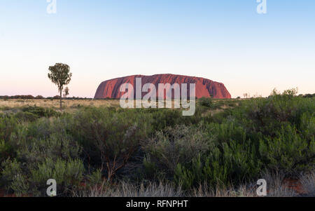 Panoramica vista del tramonto su Uluru rosso nel centro di outback Australia Foto Stock