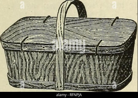 . 1896 Catalogo di piccoli frutti. Vivai (orticoltura) Michigan Bridgman cataloghi; frutto piantine cataloghi; Vivai (orticoltura); frutta. Nota 100 capi, condizionati in compresse, 50 c. 100 buste 50 c. 250 " " " " " $1.00 250 " $1.00 contanti con ordine in ogni caso. Forniamo spedizione gratuita. I lotti più grandi a tassi inferiori. Carta e stampa rigorosamente di alta qualità. Possiamo stampare qualsiasi cosa. Questo catalogo è un campione. Wells-Higman ^e^^Azienda San Giuseppe* Mick quartier generale per Berry Scatole, casse di Berry, Climax cestini di uva, Climax Peach ceste, Staio ceste, e di tutti i tipi Foto Stock