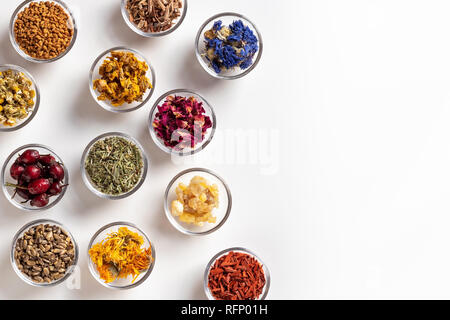 Mullein, Equiseto, cardo mariano, calendula e altre erbe essiccate in ciotole su sfondo bianco Foto Stock