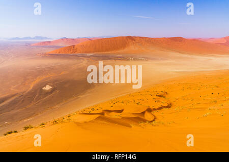 Passeggiate turistiche sulla Scenic dune di Sossusvlei, Namib Desert, Namib Naukluft National Park, Namibia. La luce del pomeriggio. Esplorazione e Avventura in Foto Stock