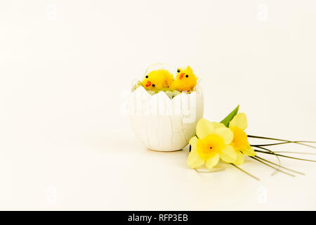 Decorazione di pasqua con due pulcini fuori da cova di un uovo, isolato su sfondo bianco Foto Stock