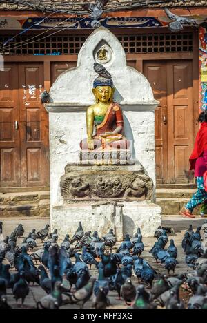 Statua di Buddha a Kathesimbhu Stupa, colombe, Kathmandu, regione dell Himalaya, Nepal Foto Stock