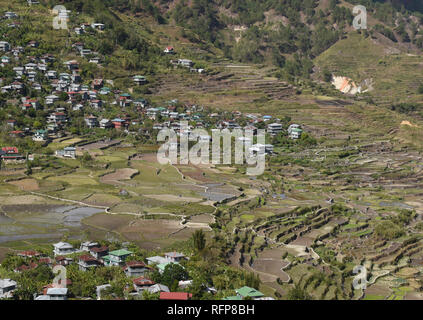 Bellissime terrazze di riso nel villaggio Fidelisan, Sagada, Provincia di montagna, Filippine Foto Stock