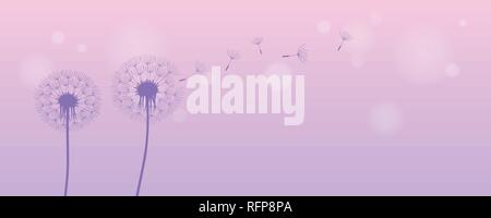 Tarassaco silhouette con battenti semi sul luminoso sfondo viola illustrazione vettoriale EPS10 Illustrazione Vettoriale