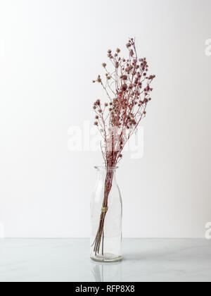 Bouquet di essiccato e appassite red Gypsophila fiori in bottiglia di vetro o di un pavimento di marmo e sfondo bianco Foto Stock