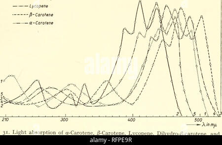 . I carotenoidi. I carotenoidi; carotenoidi. Luce le curve di assorbimento di alcuni carotenoidi 361 t Iflr 3,7- 3,6 3,5 14 3,3 3,2 3,1 3,0 29 2,6- 2,7 2,6 2,5 2.U 2.3 2.2. Fig /cm â ¢ Isocarotene - diidro-fi-Carofene - Il licopene â fi-Carotene â¢di beta-carotene un ft A. 500 -^X in mil assorbimento di beta-carotene, /^-carotene, licopene, diidro-^-carotene e Isocarotene in esano Helv. chim. Acta 23 (1940) 956. Si prega di notare che queste immagini vengono estratte dalla pagina sottoposta a scansione di immagini che possono essere state migliorate digitalmente per la leggibilità - Colorazione e aspetto di queste illustrazioni possono non assomigliare perfettamente l'o Foto Stock