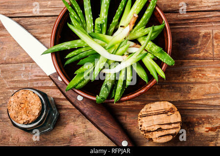 Ciotola con Fresh cut Aloe foglie.Slice aloe vera Foto Stock