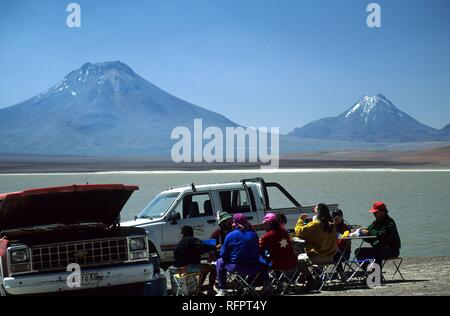 CHL, Cile, il Deserto di Atacama: Lago Leija. Foto Stock