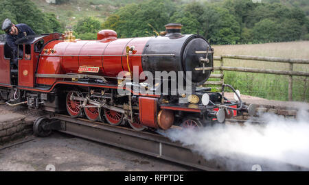 Fiume acaro sul Ravenglass e Eskdale Railway Foto Stock