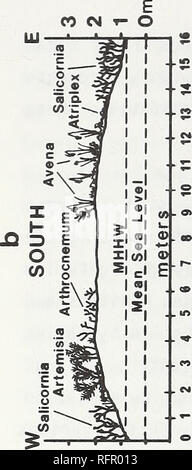. Carpinteria Palude Salata : ambiente, la storia e le risorse botanico di Southern California estuario. La Palude Salata ecologia; Sale piante di palude. CO CM i- O o Â© Â© Â© 2 Â© Â© Â© Â© in m m CM o o Â© e cm o in e o m o o o in m en CM - nella â© o in o CO - in ^ en m CM â o o s en m - in cm o Â© o in Â© CM wv o Â© eo o o m m CM m m CM m o CM o m Â© CM m m CO Â"- m o in o in â n in Â© Â© m Â© P" * â n in *" in o Â© o Â© m eo m en X X X X X X X X X X ^XXEXX XX. Si prega di notare che queste immagini vengono estratte dalla pagina sottoposta a scansione di immagini che possono essere state migliorate digitalmente per la leggibilità - colo Foto Stock