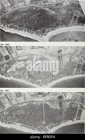 . Carpinteria Palude Salata : ambiente, la storia e le risorse botanico di Southern California estuario. La Palude Salata ecologia; Sale piante di palude. 10a. 1932.. Fig. 10a-c. CARPINTERIA Salt Marsh: 1932-1947.. Si prega di notare che queste immagini vengono estratte dalla pagina sottoposta a scansione di immagini che possono essere state migliorate digitalmente per la leggibilità - Colorazione e aspetto di queste illustrazioni potrebbero non perfettamente assomigliano al lavoro originale. Ferren, Wayne R; Università di California, Santa Barbara. Erbario. Santa Barbara, CA : erbario, Dipartimento di Scienze Biologiche, Università di California, Santa Barbara Foto Stock