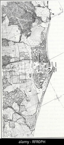 . Carpinteria Palude Salata : ambiente, la storia e le risorse botanico di Southern California estuario. La Palude Salata ecologia; Sale piante di palude. . Si prega di notare che queste immagini vengono estratte dalla pagina sottoposta a scansione di immagini che possono essere state migliorate digitalmente per la leggibilità - Colorazione e aspetto di queste illustrazioni potrebbero non perfettamente assomigliano al lavoro originale. Ferren, Wayne R; Università di California, Santa Barbara. Erbario. Santa Barbara, CA : erbario, Dipartimento di Scienze Biologiche, Università di California, Santa Barbara Foto Stock