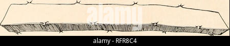 . Carnegie Institution di Washington la pubblicazione. FIG. 264.-Hylocereus unclatus. piastra xxxn, la figura i mostra una fruttificazione giunto di un impianto nella stessa raccolta portato da Tehuacan, Messico, dal dottor MacDougal e dott.ssa Rosa nel 1906. La figura 263 è da un foto-grafico preso da Paul G. Russell a Machado Portella, Bahia, Brasile, nel 1915; la figura 264 è da una fotografia da A. S. Hitchcock, 1918, mostrando una siepe di notte-blooming cereus su una parete in corrispondenza di Punahou College, Honolulu; la foto è stata scattata la mattina presto e la sera precedente la copertura era stata vista da centinaia di persone. La pianta, a HON Foto Stock