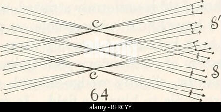 . Carnegie Institution di Washington la pubblicazione. 88 L'interferometria di e 5' sono le tracce di due longitudinalmente coincidente invertiti spettri, divaricati per la distinzione, la regione della D linee solo di essere utilizzato. La luce è omogeneo a questa misura e la fessura ampia, così che vi è obliqua inci- dence. Quindi ogni punto di S dovrebbe (sulla regolazione) interferire con ogni punto di 5', il risultato mostra un uniformemente striate in campo il telescopio. Questo è decisamente il caso per i raggi paralleli, mM, nN; ma con i raggi incrociati, mN, nM, l'interferenza è confinata ai raggi in Foto Stock