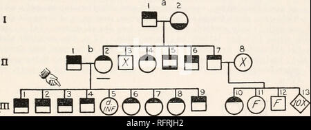 . Carnegie Institution di Washington la pubblicazione. Appendice. Il pedigree di carte del 89 famiglie studiato; e leggende descrittivo. Descrizione delle figure. Le figure sono pedigree grafici delle famiglie ha studiato. In questi grafici precedenti generazioni sono posizionati al di sopra, di quelli più giovani al di sotto. Simboli quadrati rappresentano i maschi; cerchi femmine. Fraternità di fratelli e sorelle sono collegati da una linea orizzontale giacente sopra i simboli. Il più lungo linee verticali collegare i genitori con la fraternità della loro prole. La maggior parte dei simboli sono contrassegnati per indicare la probabile zygotic constitu- t Foto Stock