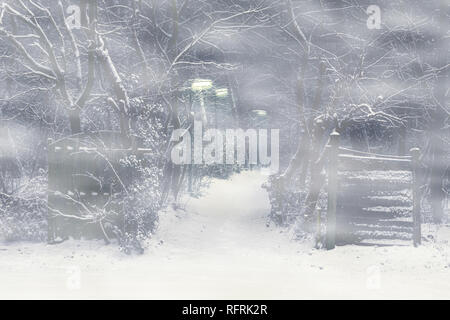 Strada forestale con un cancello in legno e illuminato lampioni su un inquietante e notte di nebbia, orrore spaventoso scena Foto Stock