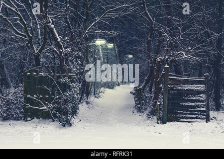 Creepy strada forestale con lampioni accesi su un colore scuro e nevoso inverno notte Foto Stock