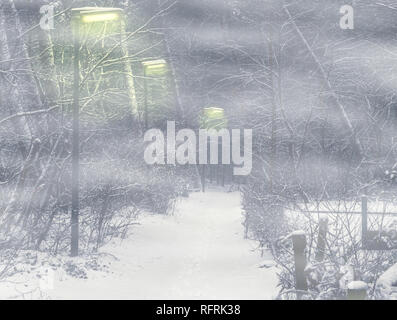 Scary strada forestale con accesi lampioni in una notte di nebbia Foto Stock