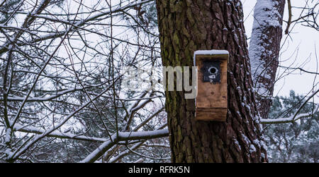 Birdhouse in legno su un tronco di albero durante la stagione invernale, innevato paesaggio forestale in background Foto Stock