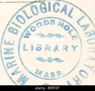 . Carnegie Institution di Washington la pubblicazione. Di zinco, cadmio, piombo, rame, di litio e di forza elettromotrice tra zinco amalgami. La prima serie di risultati con zinco amalgami, sebbene non di precisione sufficiente per dare trustworthy i coefficienti di temperatura, vale la pena di registrazione come una conferma dei risultati ottenuti durante la precedente inchiesta di Richards e Forbes. Nel primo caso la maggior parte concentrata amalgama conteneva 0,90 per cento di zinco. Essa è stata posta non diluito in la prima coppa della cella multipla è descritto nella precedente carta,35 è stato diluito con il mercurio in Foto Stock