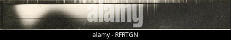 . Carnegie Institution di Washington la pubblicazione. FIG. 83.. FIG. 84.. Si prega di notare che queste immagini vengono estratte dalla pagina sottoposta a scansione di immagini che possono essere state migliorate digitalmente per la leggibilità - Colorazione e aspetto di queste illustrazioni potrebbero non perfettamente assomigliano al lavoro originale. Carnegie Institution di Washington. Washington, Carnegie Institution di Washington Foto Stock