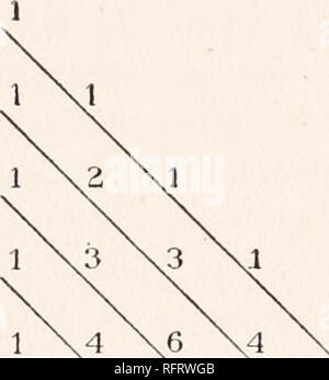 . Carnegie Institution di Washington la pubblicazione. 242 Appendice II ad alta intensità di segregazione. Un metodo di costruzione del triangolo permutational dal arithmet- ical triangolo.-Pascal triangolo aritmetico, che è lo stesso come la tabella dei coefficienti binomiali, è una serie di figure, ciascuna linea di cui può essere formata aggiungendo la riga precedente a sé stessa come illustrato nella tabella riportata di seguito. Ora, se confrontiamo questo triangolo aritmetico con il mio triangolo permutational troviamo che il primo e il terzo le linee diagonali in ogni tabella sono composte da numeri uguali disposti nello stesso modo. Il quarto di Foto Stock