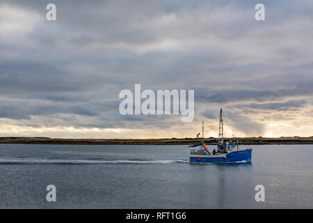 Fisherman e barca blu proveniente dal giorno di lavoro come approcci tempesta nelle acque di Terranova, del Canada Foto Stock