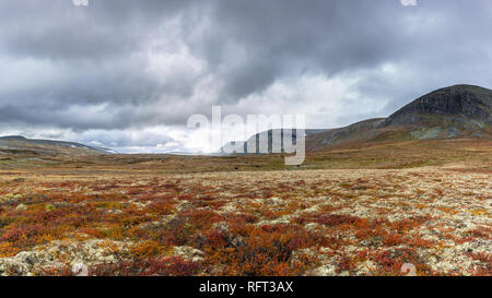 Paesaggio autunnale con ampi spazi aperti e montagne a Dovrefjell - Parco Nazionale Sunndalsfjella in Norvegia. Foto Stock