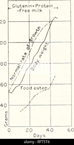 . Carnegie Institution di Washington la pubblicazione. 120 Esperimenti di alimentazione isolata con cibo-SOSTANZE. Grafico LXXXVII. LXXXVIII grafico. Grafico LXXXIX. 120 100. 150 130. Si prega di notare che queste immagini vengono estratte dalla pagina sottoposta a scansione di immagini che possono essere state migliorate digitalmente per la leggibilità - Colorazione e aspetto di queste illustrazioni potrebbero non perfettamente assomigliano al lavoro originale. Carnegie Institution di Washington. Washington, Carnegie Institution di Washington Foto Stock