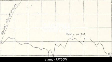 . Carnegie Institution di Washington pubblicazione. n esperimenti di alimentazione isolata con cibo-SOSTANZE. Grafico LXVI. 140 120 100 60 60 E. Edestin cibo- â -k - morti; cause Ldestin cibo normale + feci-4sconosciuto 20 40 60 80 giorni 100 120 140 160 grafici I/XVI (rat 169, maschio) e mi^XVII (ratto un p. a. 190, maschio) visualizza la manutenzione su una dieta in cui l'amido";.".".".".".".".". 2^5A32^ edestin formata la sola proteina. L'influenza di v^u^r xs-o 170 feci degli animali alimentati normalmente nella prevenzione de- Miscela del sale, 1..". 2.5 ...". cline nel peso corporeo per qualche tempo è mostrato durante la Lar '' periodo 2. La Fae Foto Stock