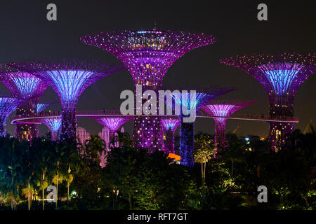 Supertree Grove di notte, giardino dalla baia, giardino botanico, Marina Bay, Singapore, Sud-est asiatico, in Asia Foto Stock