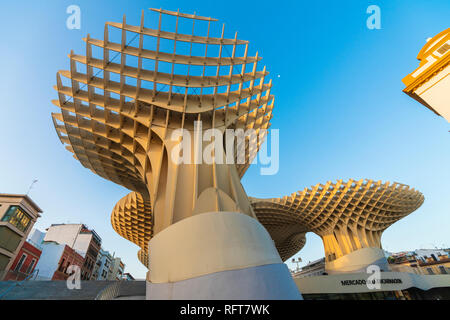 Forme reticolare di funghi giganti del Metropol Parasol (Setas de Sevilla), Plaza de la Encarnación, Siviglia, Andalusia, Spagna, Europa Foto Stock