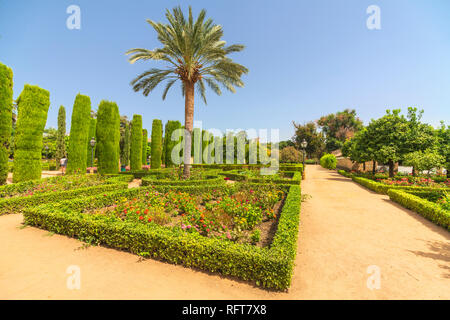 Palme e siepi, Jardines del Alcazar, giardini ornamentali di Alcazar de los Reyes Cristianos, Cordoba, UNESCO, Andalusia, Spagna Foto Stock