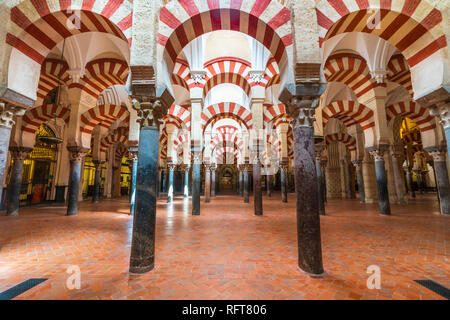 Decorate archi e colonne in stile moresco, Mezquita-Catedral (Grande Moschea di Cordova), Cordoba, Sito Patrimonio Mondiale dell'UNESCO, Andalusia, Spagna Foto Stock