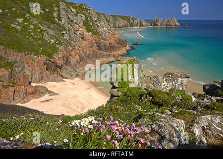 Spiaggia Pednvounder e Treen scogliere a Porthcurno, Cornwall, England, Regno Unito, Europa Foto Stock