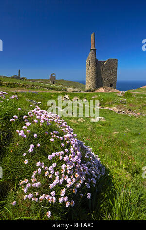 Le rovine di Wheal Owles miniera di stagno su le cime della scogliera vicino Botallack, Cornwall, England, Regno Unito, Europa Foto Stock