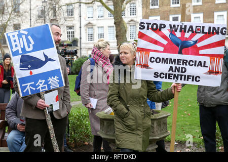 Il centro di Londra, UK 26 gen 2019 - Persone con cartelli durante una manifestazione di protesta contro la caccia alla balena giapponesi in centro a Londra. Credito: Dinendra Haria/Alamy Live News Foto Stock