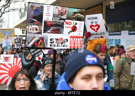 Londra, Regno Unito. Il 26 gennaio, 2019. I dimostranti sono visti tenendo cartelloni durante la protesta contro la baleniera giapponese nel centro di Londra. Credito: Dinendra Haria/SOPA Immagini/ZUMA filo/Alamy Live News Foto Stock