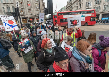 Londra, Regno Unito. Il 26 gennaio 2019. Il mese di marzo dal Cavendish Square all'Ambasciata Giapponese opponendosi al governo giapponese per la decisione di ritirarsi dalla Commissione baleniera internazionale (IWC) e riprendere la caccia commerciale alle balene nel luglio 2019 passa davanti a Oxford Circus. Riprendere la caccia commerciale alle balene potrebbe comportare molte specie di balene diventando sotto la minaccia. Peter Marshall / Alamy Live News. Foto Stock