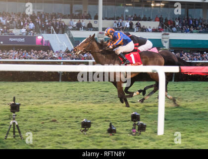 Hallandale, Florida, Stati Uniti d'America. Il 26 gennaio, 2019. Atmosfera assiste il 2019 Pegasus World Cup a Gulfstream Park il 26 gennaio 2019 in Hallandale, Florida Persone: atmosfera Credito: tempeste Media Group/Alamy Live News Foto Stock