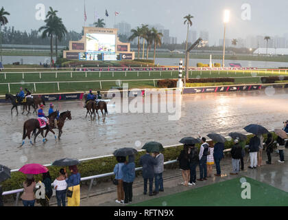 Hallandale, Florida, Stati Uniti d'America. Il 26 gennaio, 2019. Atmosfera assiste il 2019 Pegasus World Cup a Gulfstream Park il 26 gennaio 2019 in Hallandale, Florida Persone: atmosfera Credito: tempeste Media Group/Alamy Live News Foto Stock