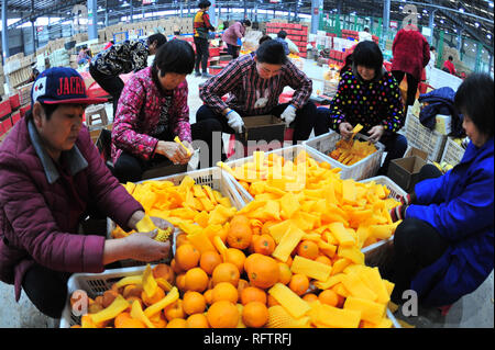 (190127) -- PECHINO, Gennaio 27, 2019 (Xinhua) -- i membri dello staff pack le arance per ordini online a un e-commerce industrial park di Yiling distretto di Yichang, centrale cinese della provincia di Hubei, 25 gennaio, 2019. Il Festival di Primavera, che cade il 5 febbraio di quest'anno, serve come un importante occasione per riunioni familiari e segna l inizio del nuovo anno lunare cinese. Si tratta di una tradizione cinese per acquistare merci che vanno dai prodotti alimentari agli elettrodomestici per celebrare il festival. I fornitori ed i fornitori di tutto il paese hanno preparato un sacco di prodotti per soddisfare le esigenze di shopping durante la vacanza spendendo spree. (X Foto Stock