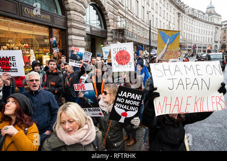 Londra, Regno Unito. Il 26 gennaio 2019. Londra protesta contro la ripresa della caccia alle balene da parte del Giappone.Il governo giapponese ha recentemente sostenuto al di fuori di un accordo internazionale il divieto di caccia alle balene a fini commerciali. Gli attivisti marciando attraverso il centro di Londra all'Ambasciata Giapponese. Credito: Stephen Bell/Alamy Live News. Foto Stock