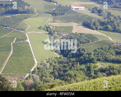 Vista sulle Langhe Occidentali vicino a Neive, Piemonte - Italia Foto Stock