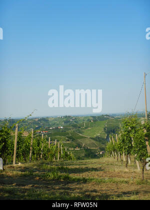 Vista sulle Langhe Occidentali vicino a Neive, Piemonte - Italia Foto Stock