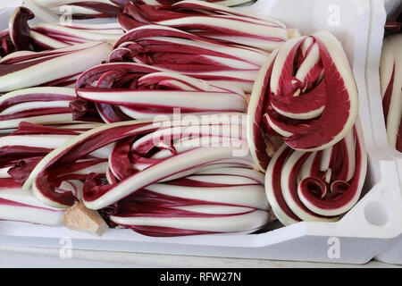 Molti radicchio rosso chiamato anche radicchio tardivo in lingua italiana per la vendita in negozio di fruttivendolo Foto Stock