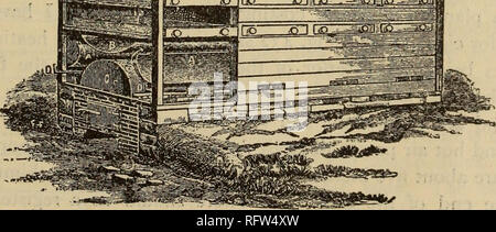 . Il canadese del giardiniere. Coltivatori di frutta' Association of Ontario; frutti-coltura. Fig. 431. -Fatti in casa a base di evaporatore.. Si prega di notare che queste immagini vengono estratte dalla pagina sottoposta a scansione di immagini che possono essere state migliorate digitalmente per la leggibilità - Colorazione e aspetto di queste illustrazioni potrebbero non perfettamente assomigliano al lavoro originale. Coltivatori di frutta " Associazione di Ontario. St. Catherines [Ont. ] : Coltivatori di frutta' Association of Ontario Foto Stock