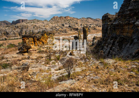 Isalo National Park, Regione di Ihorombe, a sud-ovest del Madagascar, Africa Foto Stock