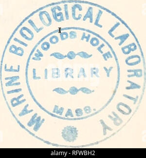 . Carnegie Institution di Washington la pubblicazione. Variazioni di energia coinvolta nella diluizione di zinco e cadmio amalgami. Da Theodore William Richards e George Shannon Forbes. Introduzione. Quasi mezzo secolo fa un fisico francese denominato Gaugain ha pubblicato una nota 1 sulla sua indagine di una pila di Volta il cui " negativo " di metallo è stato diluito di un amalgama di zinco o cadmio. In un primo momento la forza elettromotrice è cresciuto molto rapidamente quando la proporzione di metallo ossidabile è stata aumentata, ma al di là di un certo punto l' introduzione di nuovi quantitativi di zinco non ha causato nessun ulteriore variante. Egli conclud Foto Stock